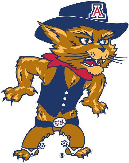 Arizona Wildcats 2003-Pres Mascot Logo DIY iron on transfer (heat transfer)